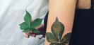 tatouage_fleur_tattoo_plante